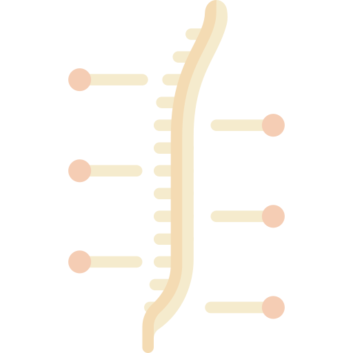 اعوجاج العمود الفقري